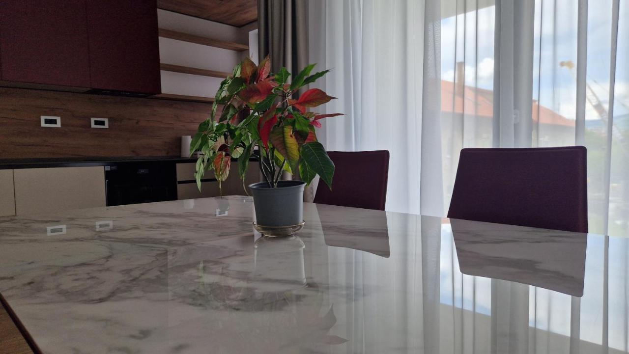 Valentini Apartments クルージュ＝ナポカ エクステリア 写真